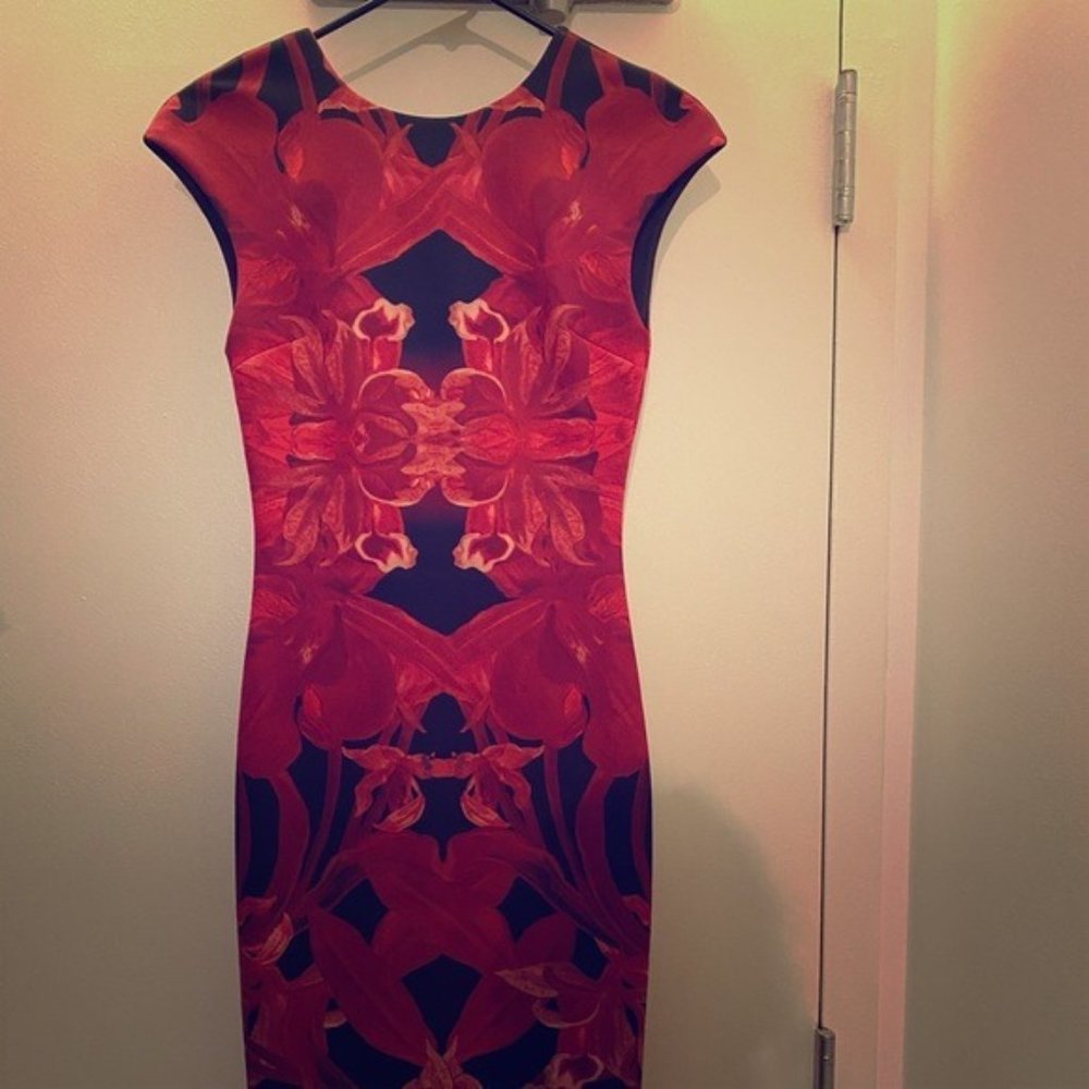 Ted Baker Maroon Jungle Orchid Print Dress 0